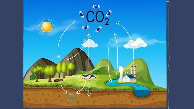 Living and Nonliving Things смотреть онлайн