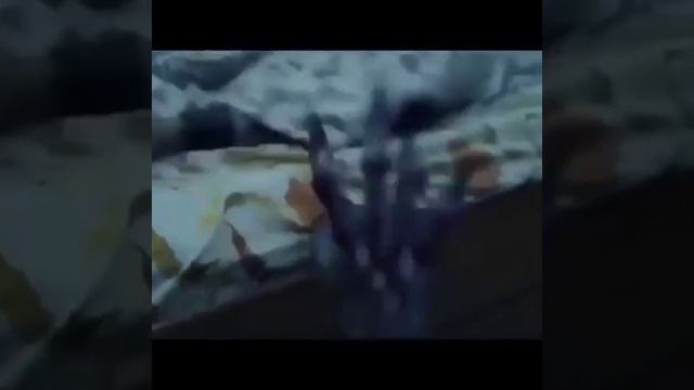 VID_20230514_150709_619.mp4