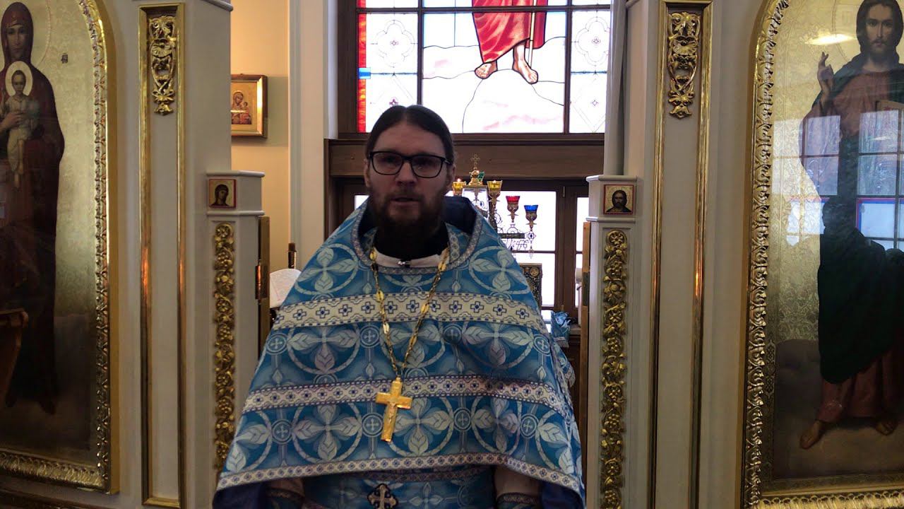 Проповедь священника Алексея Туголукова в Неделю о мытаре и фарисее. смотреть онлайн
