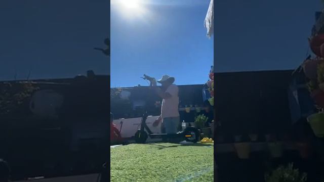 Xiaomi scooter pro 2 смотреть онлайн