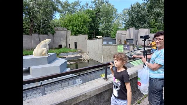 Warszawskie ZOO Warsaw ZOO смотреть онлайн