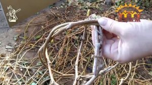 декоративный шар из лозы