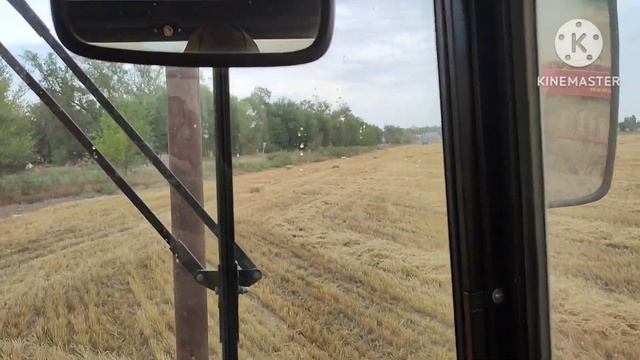 Прессую солому первый день после ремонта трактором МТЗ 82.1 и прессом Welger Ap 61 смотреть онлайн