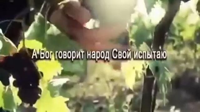 Чистое золото не сгорит ??? ... смотреть онлайн