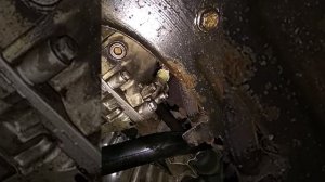 Замена датчика скорости Пежо 406 2.0HDI 2000г.в.