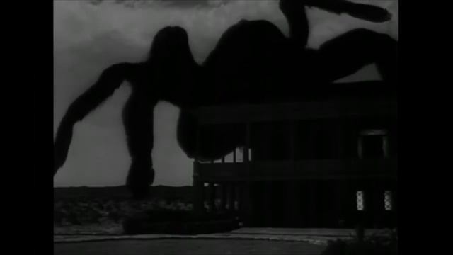 Top 5 Giant Movie Spiders | TheCrypticCinema смотреть онлайн