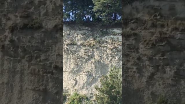 Абхазия. Лидзава. Песчаный пляж. смотреть онлайн