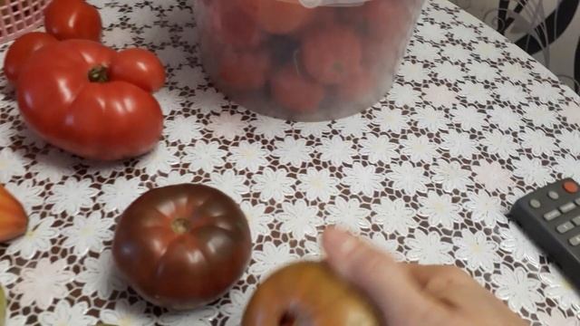 Как хорошо хранятся эти томаты!!!!?????? смотреть онлайн
