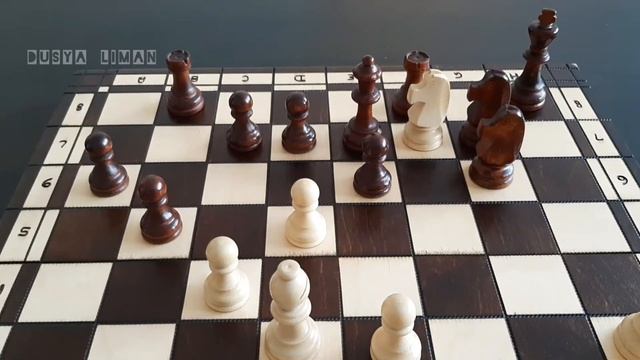 Выпуск 27. Задачи. Комбинации. Шахматы. Chess. Шах и мат смотреть онлайн