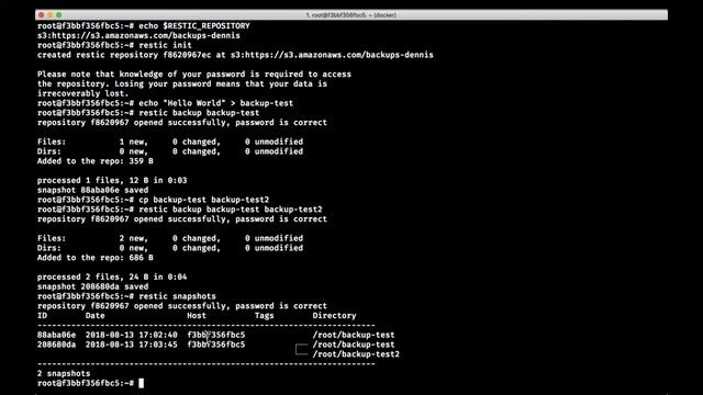 Cloud Backups to Amazon S3 Using Restic смотреть онлайн