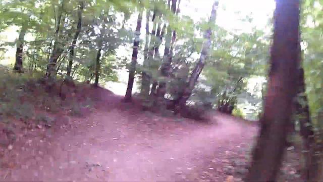 Пробежка Внуково-Дегунино 41 км 12.09.2016 смотреть онлайн