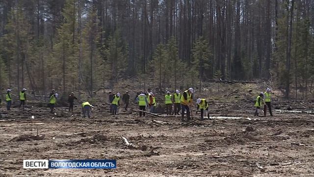 «Вологодские лесопромышленники» присоединились к акции «День посадки леса» смотреть онлайн
