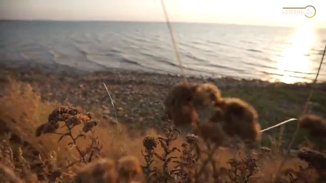 «Больше чем отдых» Приморско Ахтарск