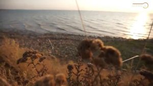 «Больше чем отдых» Приморско Ахтарск