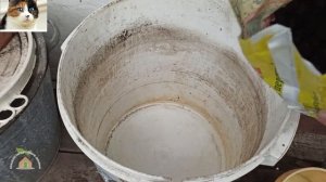 Как развести гранулированный куриный помет для подкормки растений