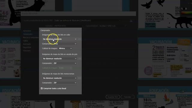 ?PDF de BAJO PESO? y buena calidad. (ILLUSTRATOR). 3 MIN смотреть онлайн