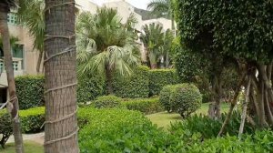 Cactus Resort Sanya 4*, Китай, Хайнань (КАКТУС)