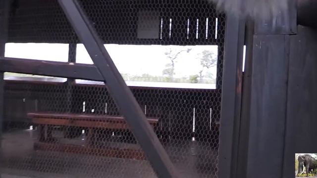 FILTHY - Gardenia Hide Kruger Park смотреть онлайн