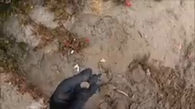 Xp Deus. Поиск на пляже. смотреть онлайн