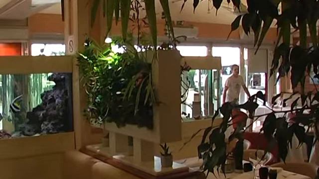 Cadre végétal restaurant odyssée végétale aquas.fr смотреть онлайн