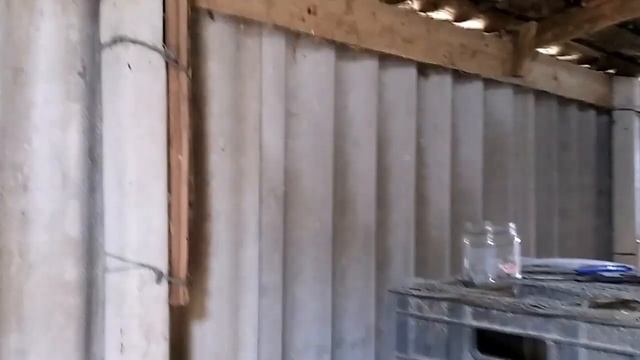 Вес кролика в 1 месяц, полтавское серебро. смотреть онлайн