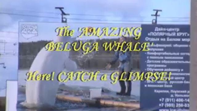 Previat , Russia!!! (Music: The Chicken Dance by The Hit Crew/Instrumental) смотреть онлайн