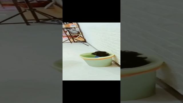 🤣🥰👍 смотреть онлайн