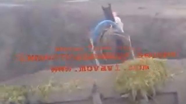 Кировец против Лошади . Смотри до конца. смотреть онлайн