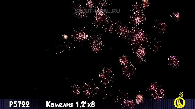 Р5722 Римская свеча (1,2x8) Камелия смотреть онлайн