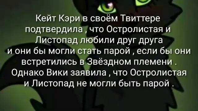 Интересные факты об Остролистой. Коты воители. #3 смотреть онлайн
