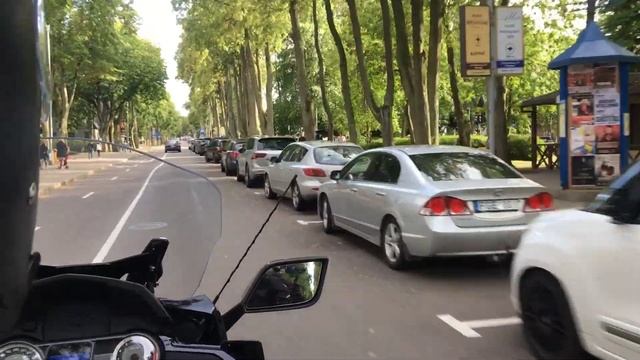 Паланга 2019 смотреть онлайн