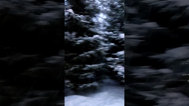 Охта-парк каток