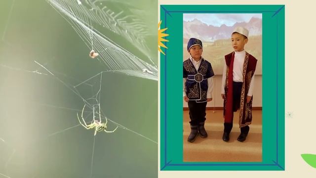 Ы. Алтынсарин "Паук, муравей и ласточка" смотреть онлайн