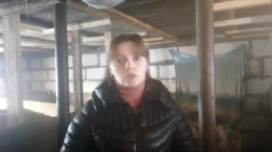 Каким кормом выгоднее кормить поросят, сухим или жидким! Наш опыт кормления поросят!