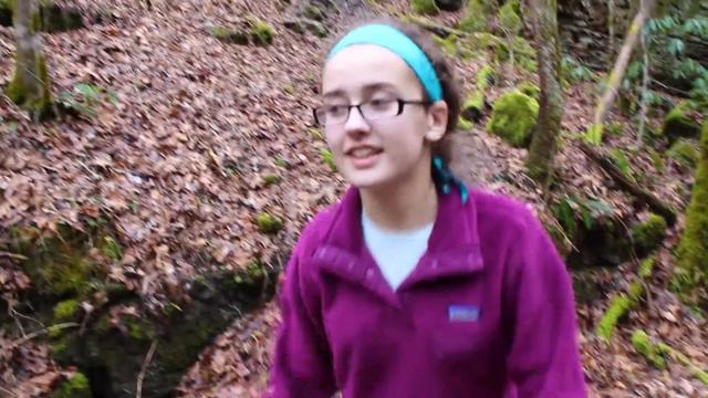 Red River Gorge Trail Guide: Whittleton Arch Trail смотреть онлайн