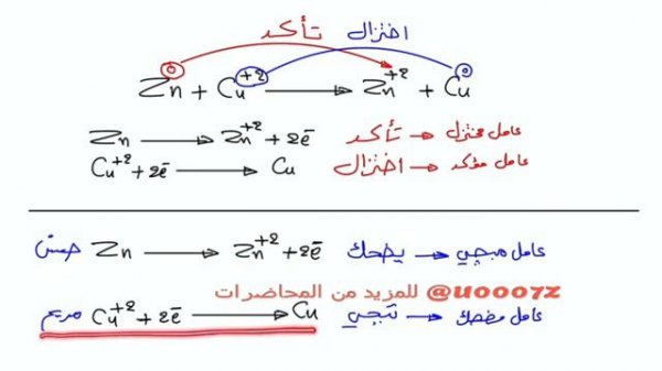 الفصل الرابع - المحاضرة 3