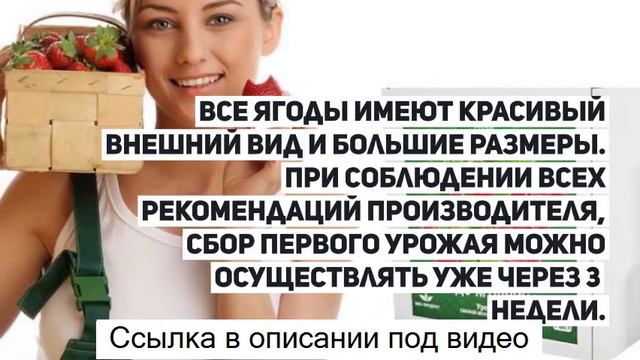 Чудо ягодница сказочный сбор купить - чудо-ягодница «сказочный сбор»(99 * р.) смотреть онлайн