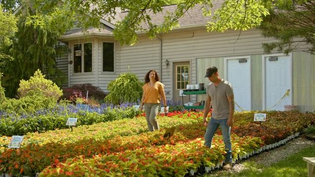 Groovy Plants Ranch смотреть онлайн