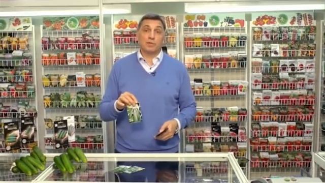 Строительные Параллели