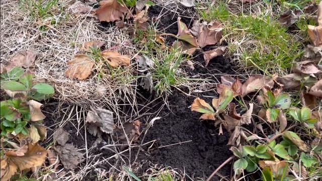 Дача, продолжаю трудиться! #милыйдом смотреть онлайн