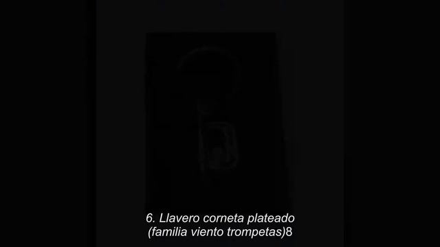 Las 10 mejores Cornetas en 2018 смотреть онлайн