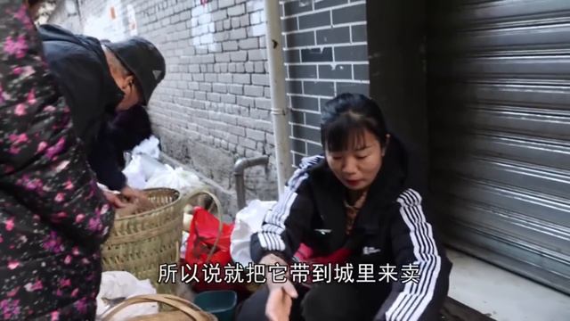 【合集】早上6點帶1000斤水果蔬菜進城賣，挑戰2小時賣光，能實現嗎？ 【燕麥行遊】 смотреть онлайн