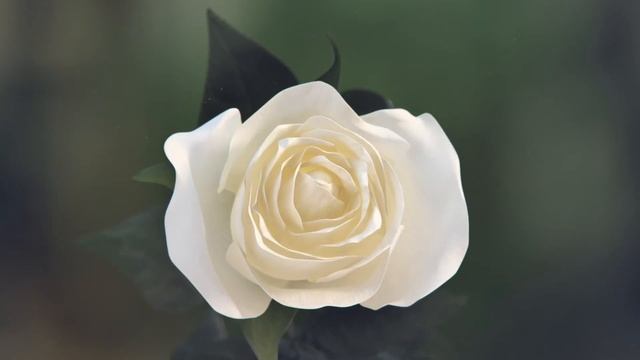 Introducing The Most Advanced At-Home LED/EMS Therapy Tech Device | Techture Tetrad 4-in-1 Device