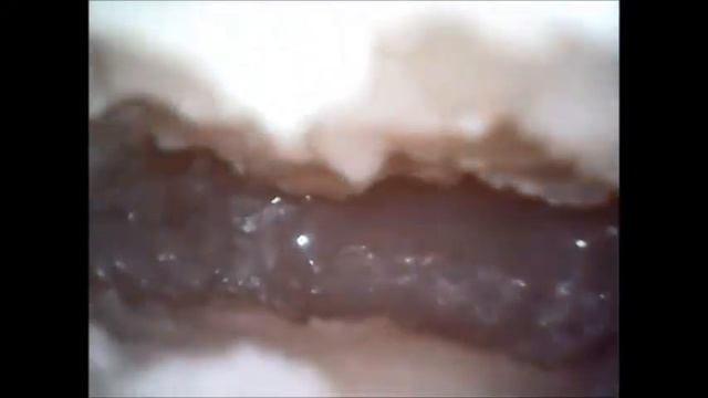 Tomax Venus Real Soft internal cam смотреть онлайн