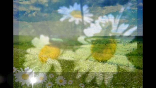 С ДНЕМ СЕМЬИ,ЛЮБВИ И ВЕРНОСТИ!!.wmv смотреть онлайн