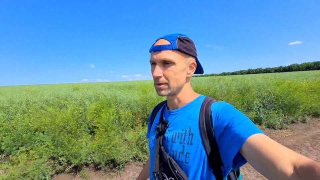 Как мы учим английский язык в Молдове. Изучаем природу и окресности смотреть онлайн