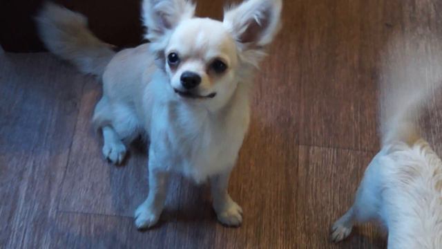 Сахарок часть 2 смотреть онлайн