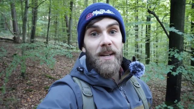 Pilze ohne Ende | Steinpilze, Krause Glucke & mehr | 25 Arten im Wald смотреть онлайн