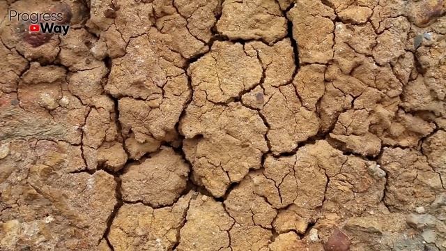 Осеннее мульчирование грядок. Урожай на следующий год умножается х10! смотреть онлайн