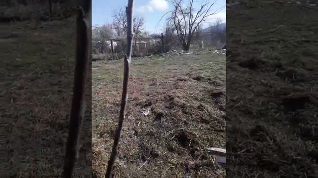 обрезка двух годовалой черешни смотреть онлайн